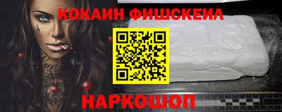 мдпв Бийск