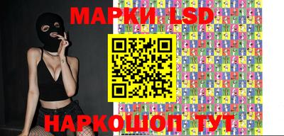 мдпв Бийск