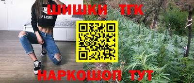 mdpv Камень-на-Оби
