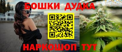 мдпв Бийск