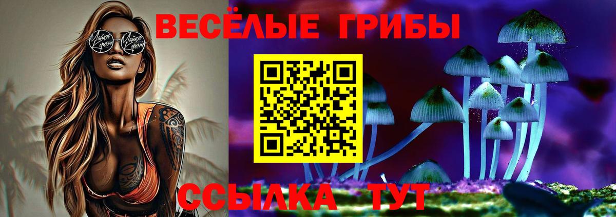 Ишимбай  Галлюциногенные грибы Cubensis  Вход с VPN 