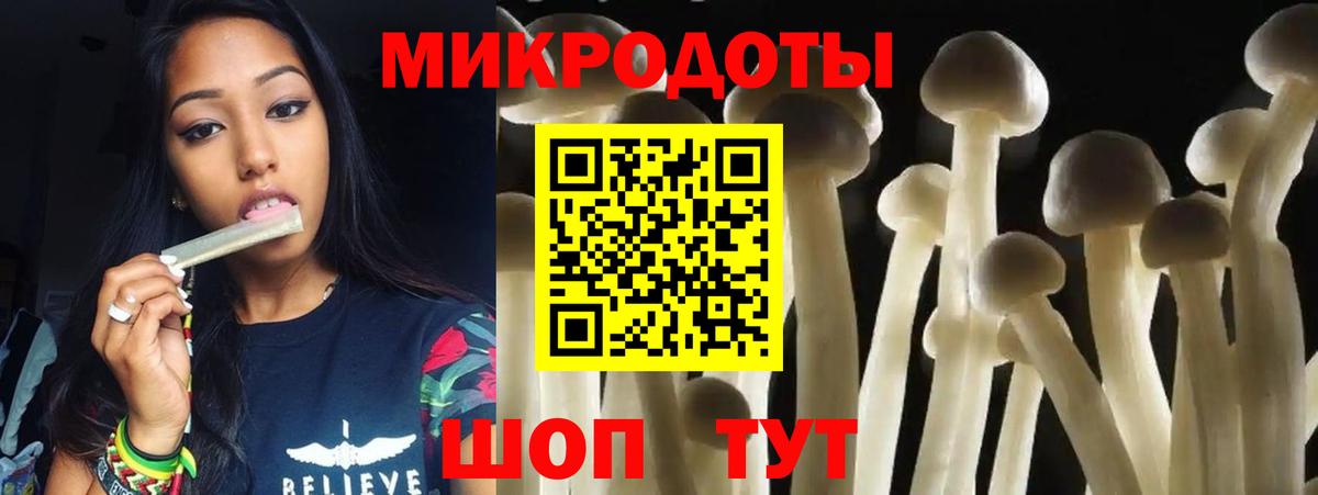 Псилоцибиновые грибы Cubensis Ишимбай